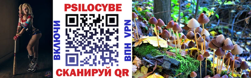 Галлюциногенные грибы ЛСД  Купить закладки  Заволжск 